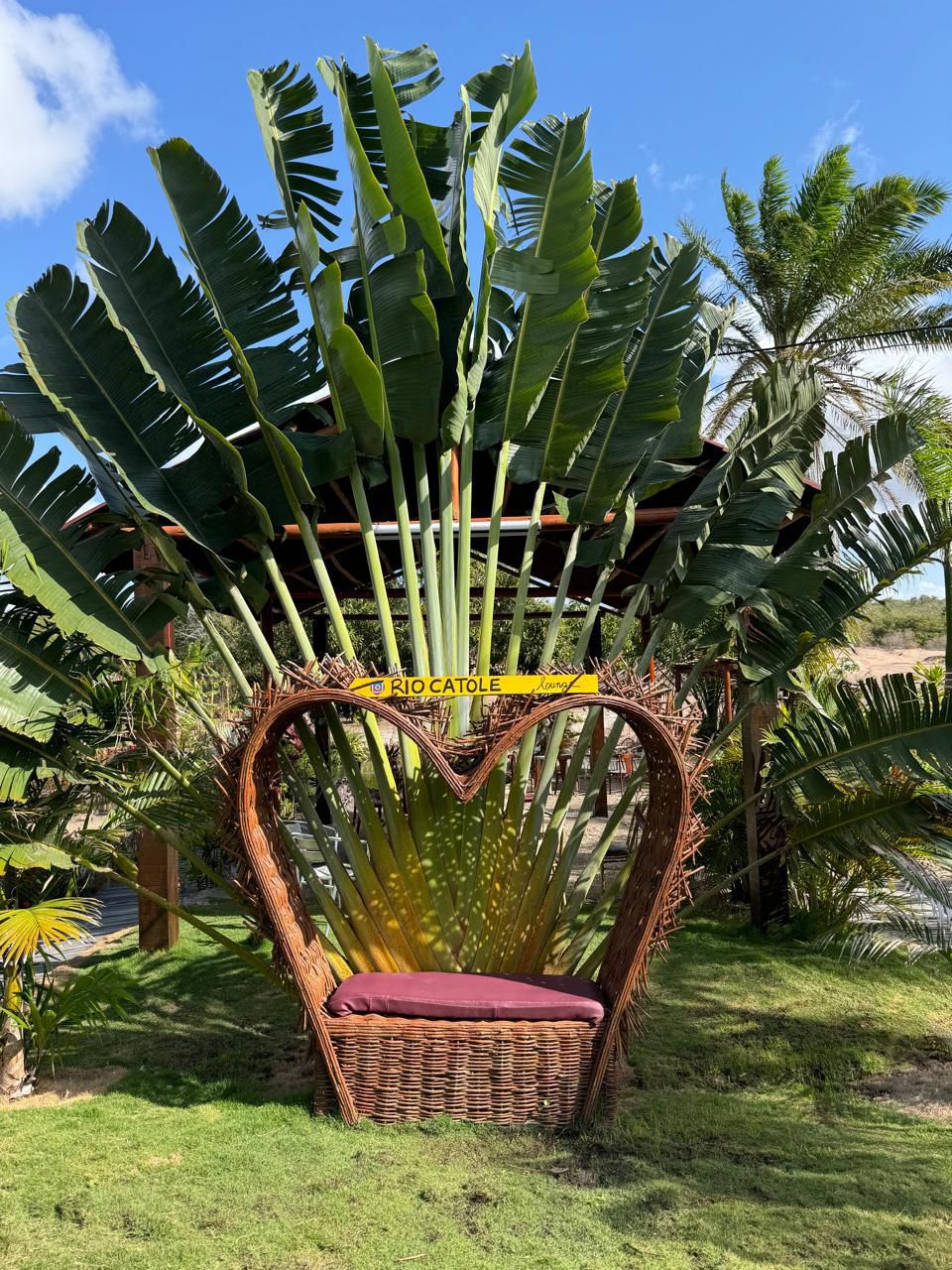 floresta